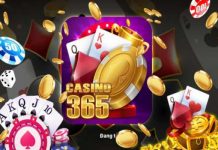 casino365