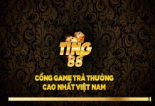 ting88-club